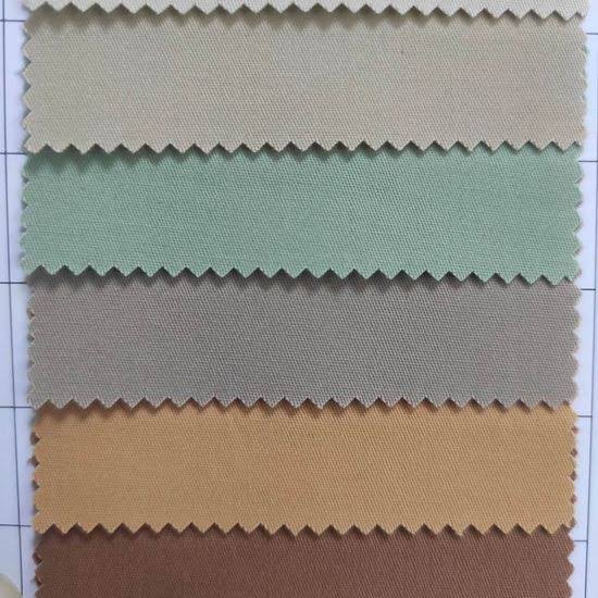 2/1 Twill Fabric